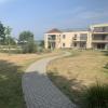 Tuin